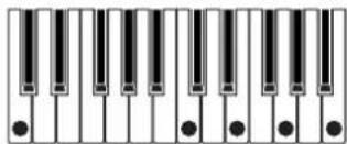 KORG Nautilus 88 AT - Motif d'accord - 2