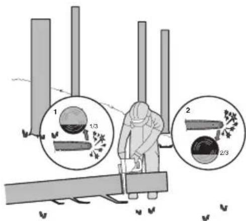 WORX WG350E.9 - Debitarea trunchiului de copac - 2