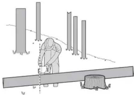 WORX WG350E.9 - Debitarea trunchiului de copac - 4