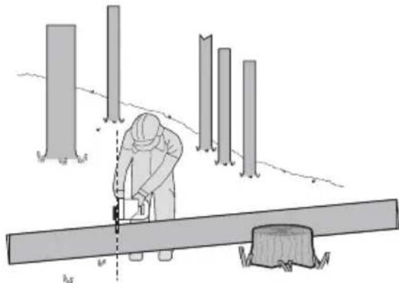 WORX WG350E.9 - Bucking a log - 4