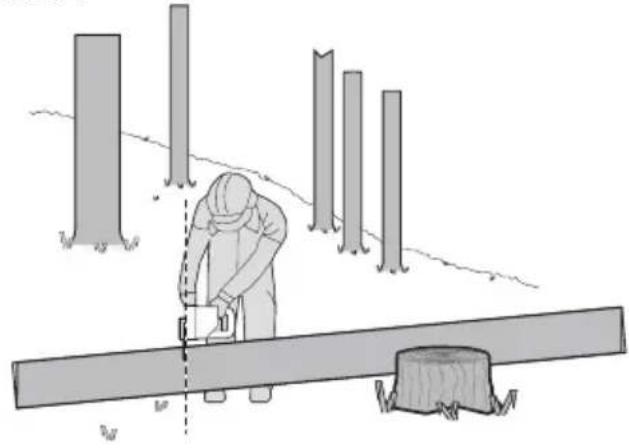 WORX WG350E.9 - Pa3pe3aHne CTB0la DepeBa Ha Yaactn - 4