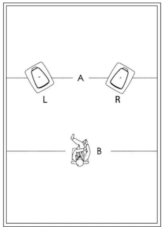 Sonus Faber Sonetto Wall G2 - ÉLIMINATION - 34