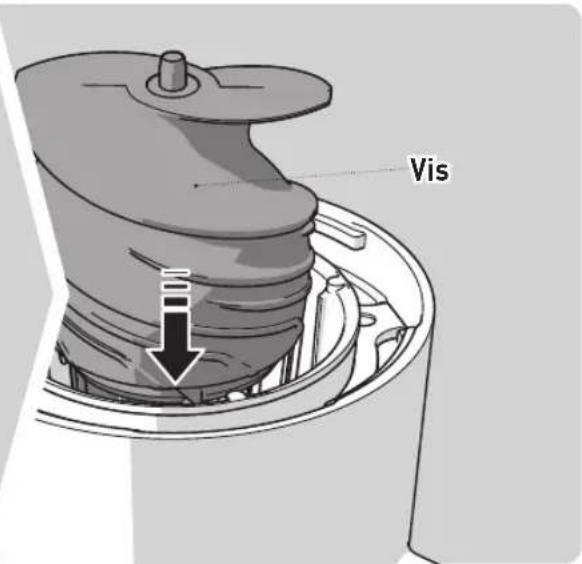 Vis