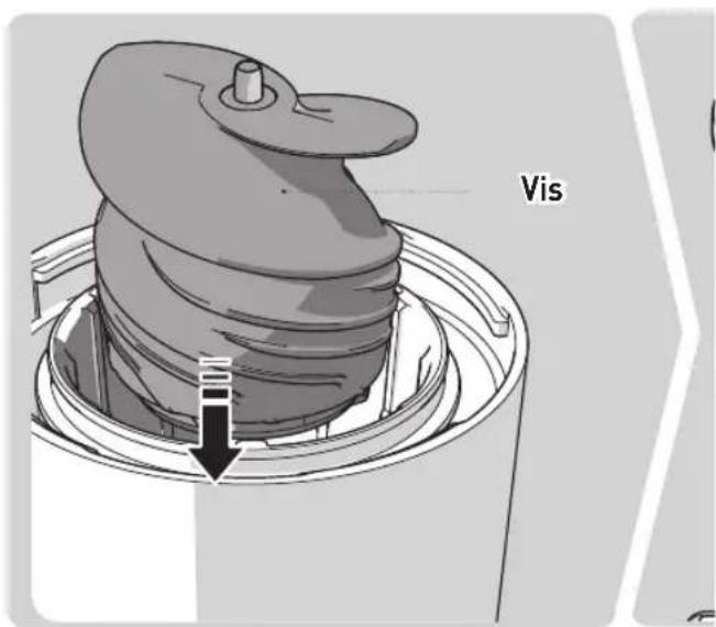 Vis