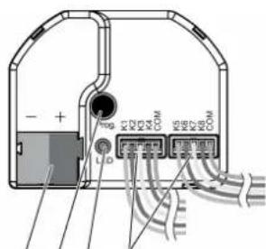 STEINEL UI4 KNX - Modalità Safe State - 1