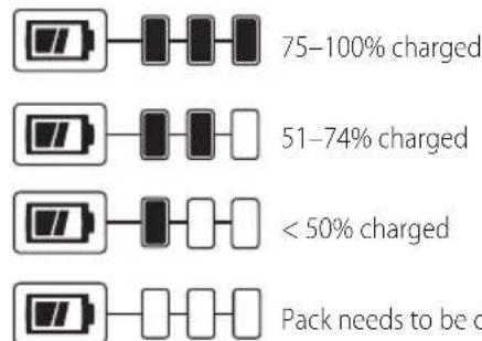 DEWALT DCE350 - Fuel Gauge Battery Packs (Fig. B) - 1