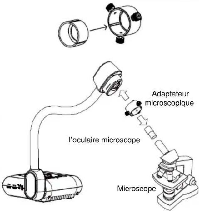 AVer AVerVision F50HD - Branchement à un microscope - 3