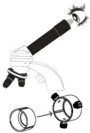 AVer AVerVision PL50 - Branchement à un microscope - 3