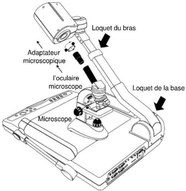 AVer AVerVision PL50 - Branchement à un microscope - 5