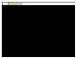 AVer AVerVision PL50 - Viseur - 1