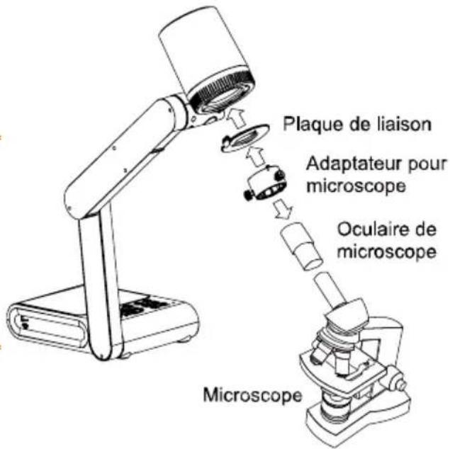 AVer AVerVision M90UHD - Branchement à un microscope - 4