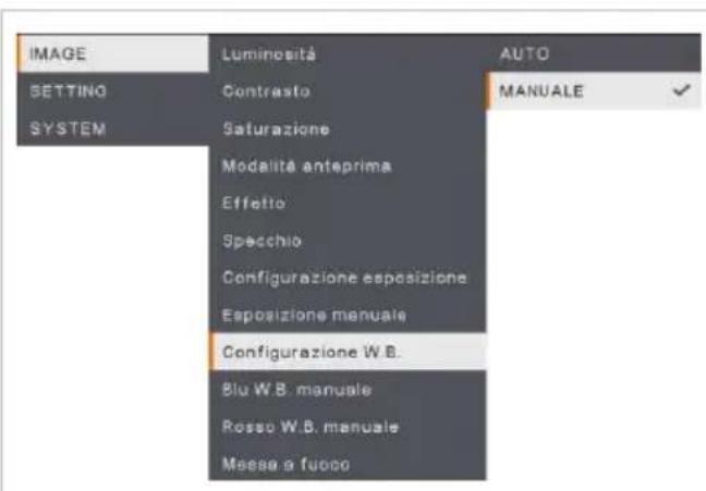 AVer AVerVision M90UHD - Esposizione manuale - 1