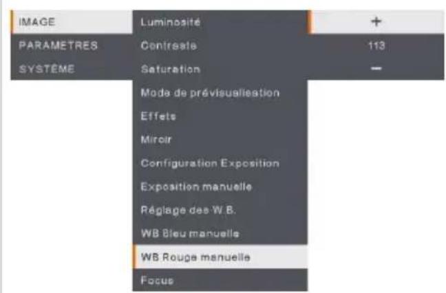 AVer AVerVision M90UHD - Balance des blancs Bleu - 1