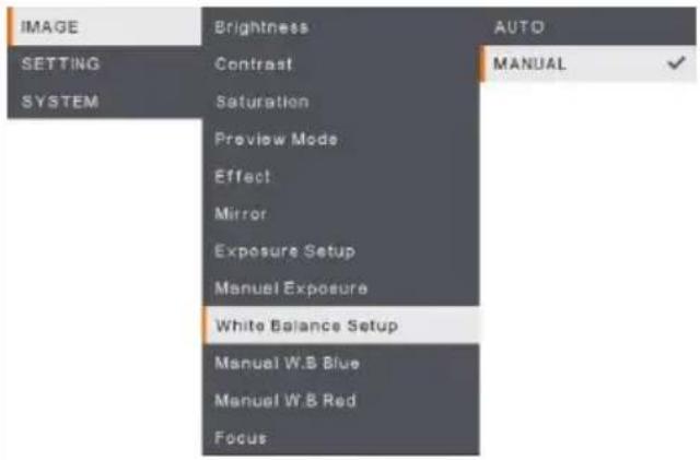 AVer AVerVision M90UHD - Navigate the Menu and Submenu - 7