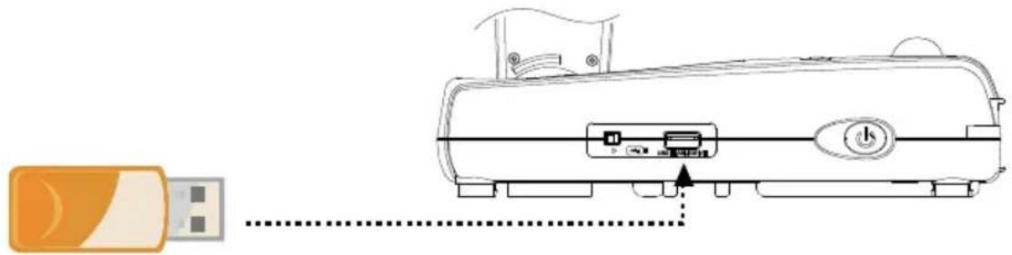 AVer AVerVision 355AF - Insertion d'une carte SD - 3