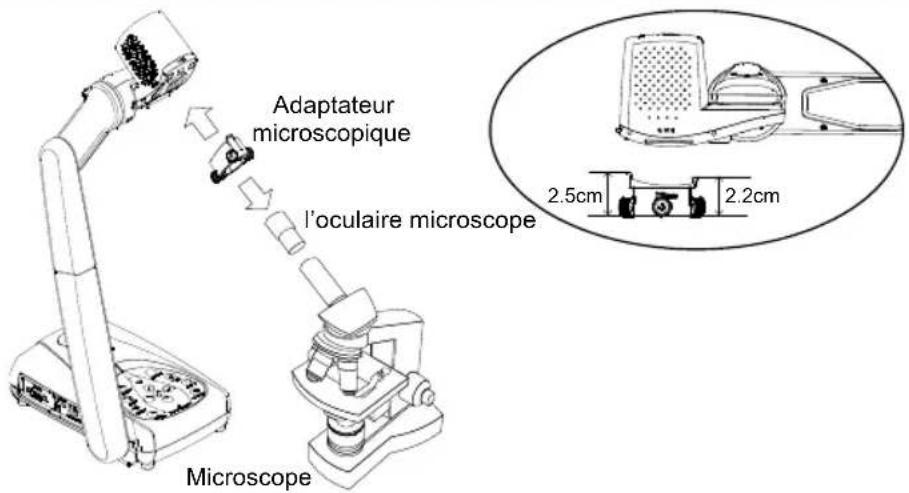 AVer AVerVision 355AF - Branchement à un microscope - 2