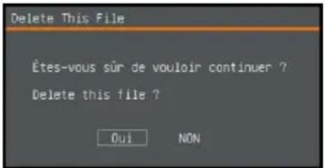 AVer AVerVision M11-8MV - Effacer fichier - 1