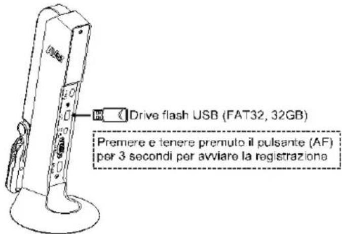AVer AVerVision M11-8MV - Collegamento USB - 1