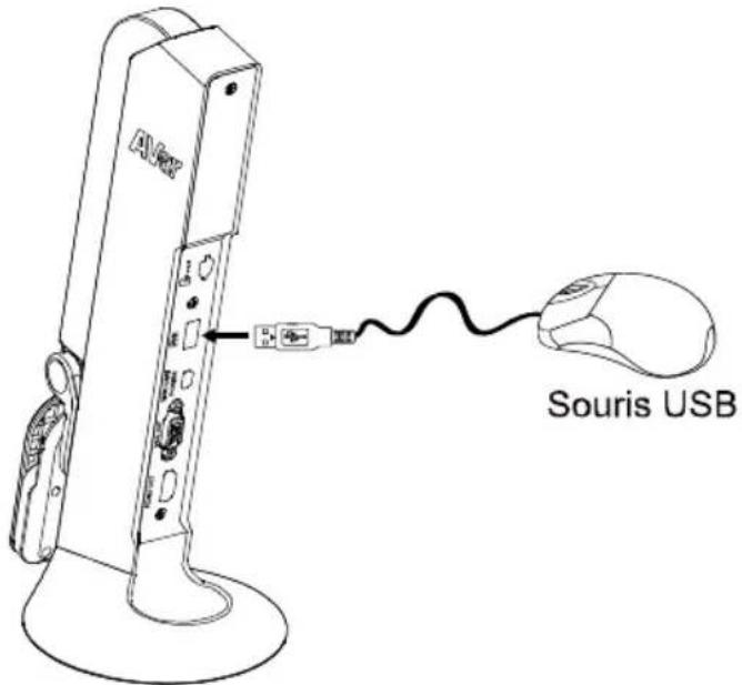 AVer AVerVision M11-8MV - Annotation - 1
