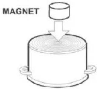 MAGNET