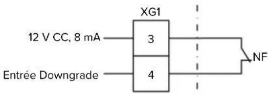 XG1 12 V CC, 8 mA 3 4 Entrée Downgrade NF