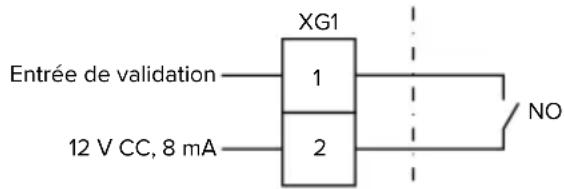 XG1 Entrée de validation 1 2 12 V CC, 8 mA NO