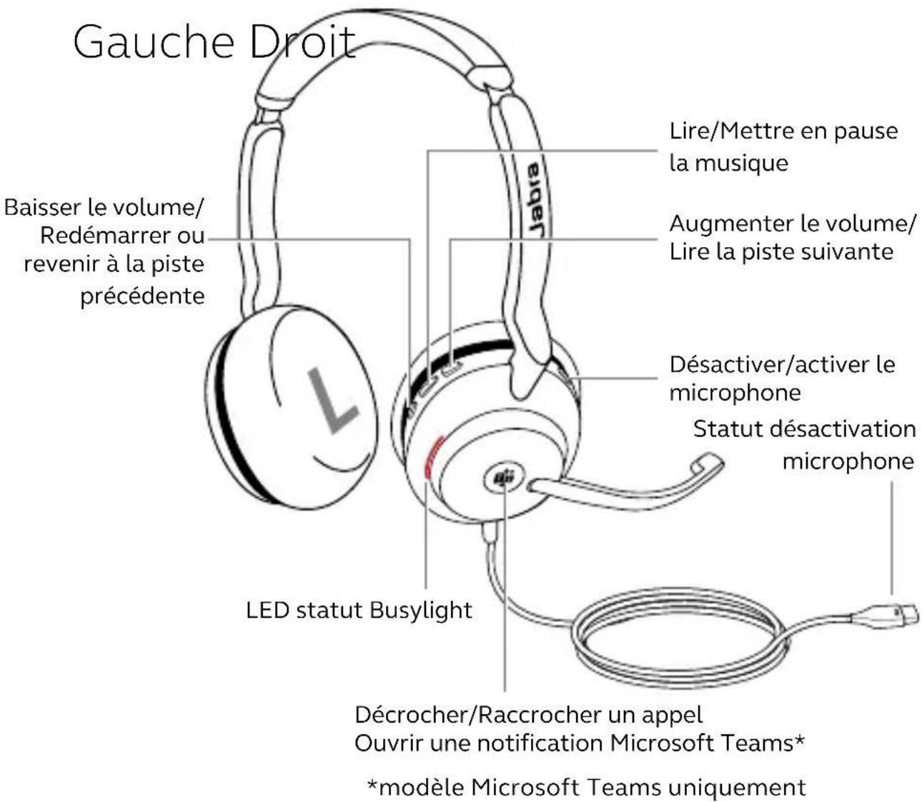 Gauche Droit Baisser le volume/ Redémarrer ou revenir à la piste précédente Lire/Mettre en pause la musique Augmenter le volume/ Lire la piste suivante Désactiver/activer le microphone Statut désactivation microphone LED statut Busylight Décrocher/Raccrocher un appel Ouvrir une notification Microsoft Teams* *modèle Microsoft Teams uniquement
