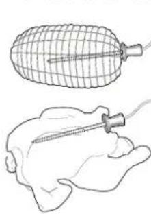 WHIRLPOOL AKZ9 7891 IX - UTILISATION DE LA SONDE À VIANDE (LE CAS ÉCHÉANT) - 1