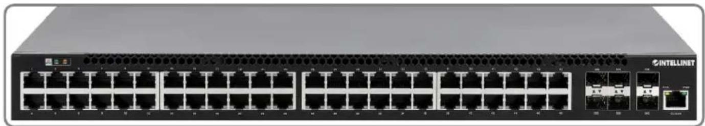Intellinet 562041 - Connexions - 1