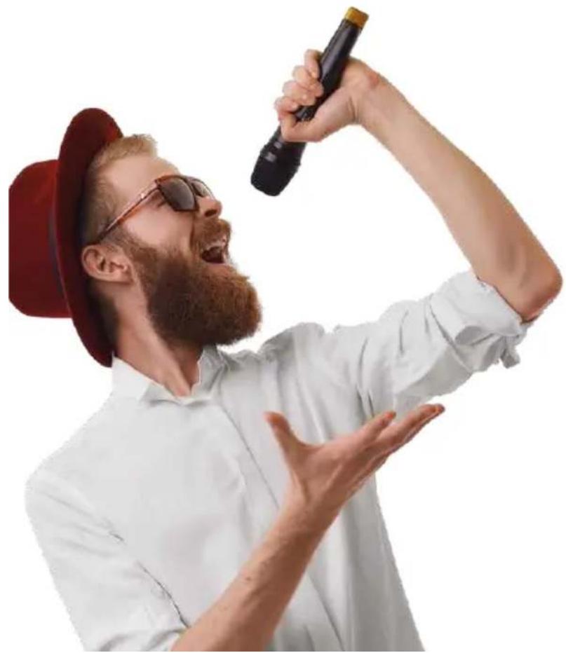 Ferguson Regent DVD D-1000k karaoke - 1