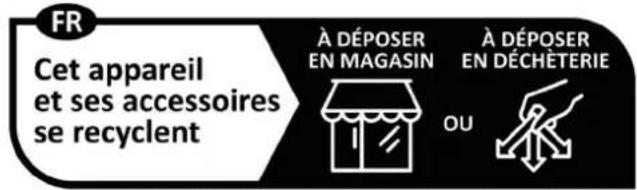 Cadel Fenice Plus 11 - INFORMATIONS RELATIVES A LA GESTION DES DECHETS D'APPAREILS ELECTRIQUES ET ELECTRONIQUES CONTENANT DES PILES ET DES ACCUMULATEURS - 3