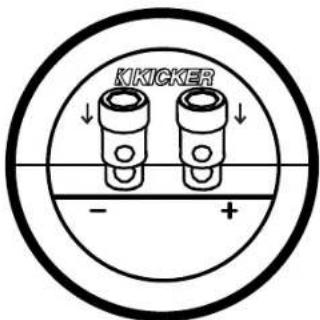 KICKER 41VL7122 - BRANCHEMENT - 2