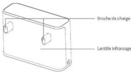 Roidmi EVE ROOK S - Nettoyage de la borne de recharge - 1
