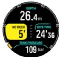SUUNTO Ocean - Informations de plongée essentielles - 3