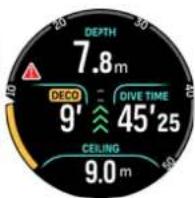 SUUNTO Ocean - Plongées avec décompression - 10