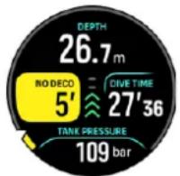 DEPTH 26.7m NO DECO 5' DIVE TIME 27'36 TANK PRESSURE 109 bar