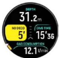 SUUNTO Ocean - Exemple : mode multi-gaz - 2
