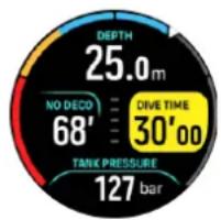 SUUNTO Ocean - Durée plongée - 1