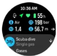 10:36 AM 55 h Air 198 bar 1.4 56.7 m Scuba dive Single gas Gases