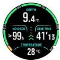 SUUNTO Ocean - Informations de plongée essentielles - 6