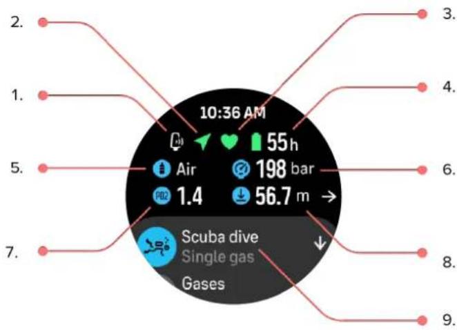 10:36 AM 3. 4. 5. 6. 7. Scuba dive Single gas Gases