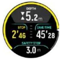 DEPTH 5.2 m STOP 2'46 DIVE TIME 45'28 SAFETY STOP 3.0 m