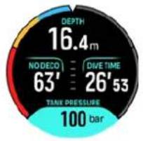 DEPTH 16.4m NO DECO 63' DIVE TIME 26'53 TANK PRESSURE 100 bar