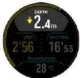 SUUNTO Ocean - Alarmes de plongée obligatoires - 9