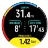 SUUNTO Ocean - Alarmes de plongée obligatoires - 4