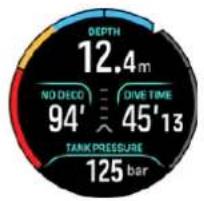 DEPTH 12.4m NO DECO 94' DIVE TIME 45'13 TANK PRESSURE 125 bar