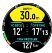 DEPTH 30.0 m NO DECO 12' DIVE TIME 17'13 TANK PRESSURE 127 bar