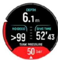 DEPTH 6.1 m NO DECO >99 DIVE TIME 52'43 TANK PRESSURE 50 bar