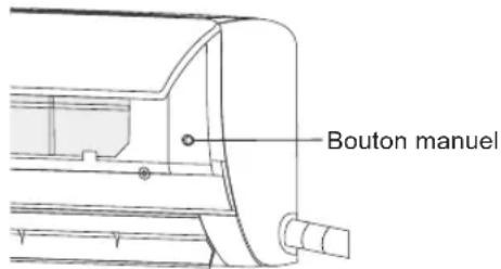 Bouton manuel