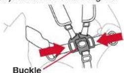 BOB Gear Revolution Flex 3.0 Duallie - Securing the Child in the Seat - 2